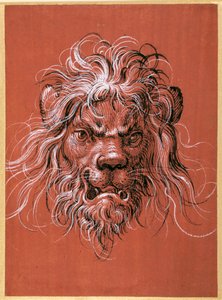 Tête de lion