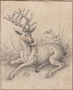 Le cerf