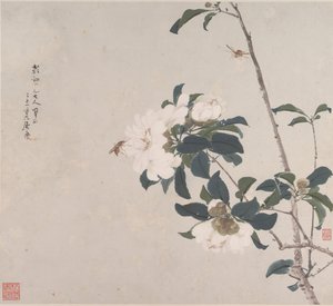 Insectes et Fleurs