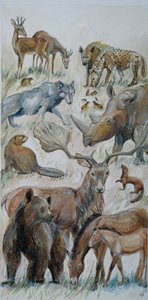 Animaux de Boxgrove identifiés lors des fouilles (aquarelle sur papier)