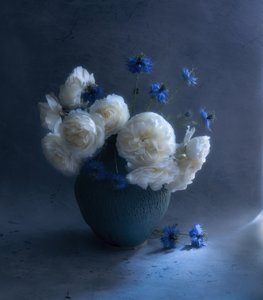  - Judy Tseng