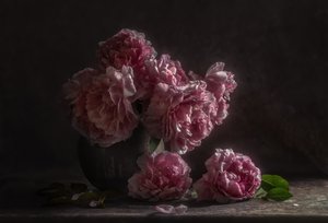  - Judy Tseng