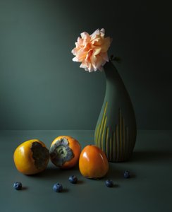  - Judy Tseng