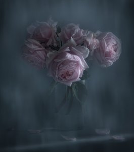  - Judy Tseng