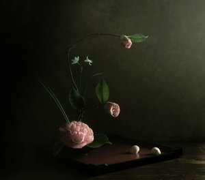  - Judy Tseng
