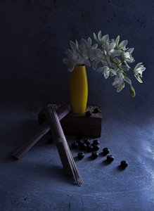 Orchidées blanches dans un vase jaune - Judy Tseng