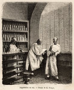 La dégustation du thé, dans la salle de dégustation d