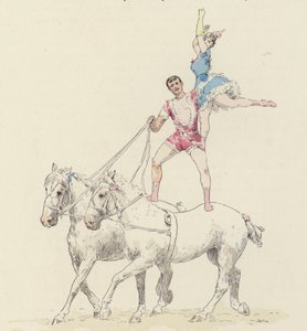 Numéro de cheval