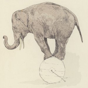 Éléphant en équilibre