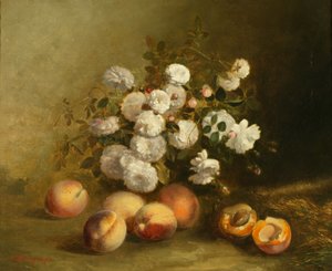 Fleurs et Abricots