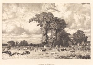 Pâturages du Limousin - Jules Dupré