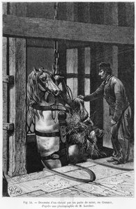 Cheval descendu dans la mine à Le Creusot, illustration de 