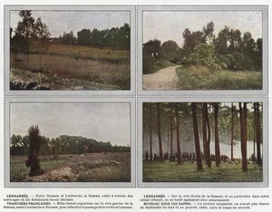 Lenharree, Lenharree, tranchées françaises, bivouac sous les sapins - Jules Gervais Courtellemont