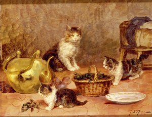 Chatons
