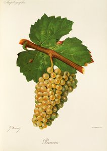 Peurion - Jules Troncy