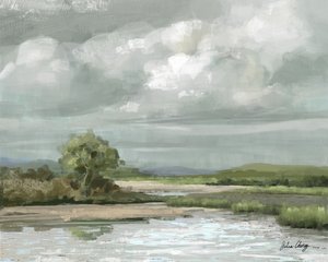 Paysage serein de marais