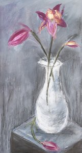  - Julia Contacessi