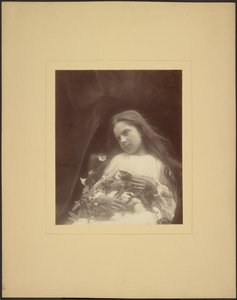 [Adeline Norman]