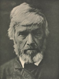 Carlyle - Julia Margaret Cameron