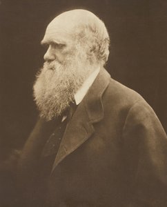 Charles Darwin, vers 1868, imprimé en 1875