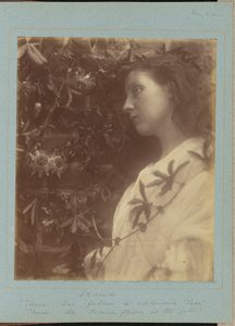 Maud