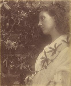 Maud "Une magnifique larme est tombée de la fleur de la passion à la porte". - Julia Margaret Cameron