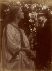 [Printemps] - Julia Margaret Cameron