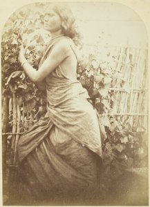 Femme, Ceylan