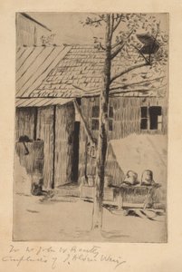 Cour, seaux et arbre