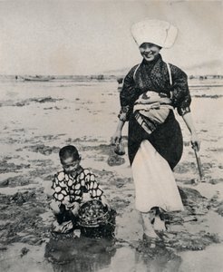 Creuser des palourdes à marée basse dans la baie de Tokyo, c1900