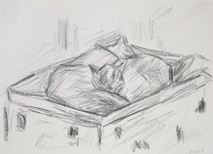 Chats nichés, 2015