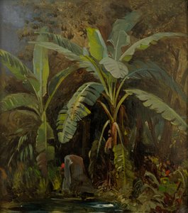 Estonien : "Plantes italiennes"