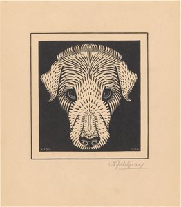 Tête de chien