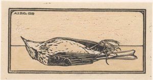 Petit oiseau mort