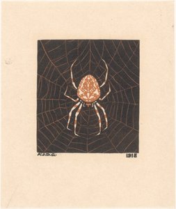 Araignée dans une toile - Julie de Graag