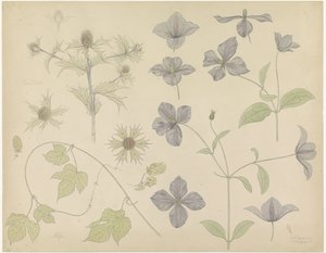 Feuille d