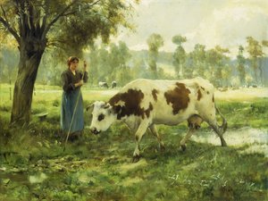 Vaches au pâturage