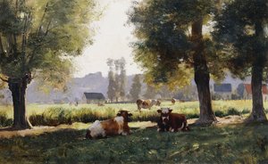 Prairie à Arques-la-Bataille, Normandie