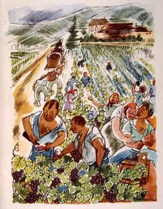 Vignoble français. 1944