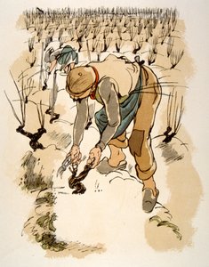 Illustration humoristique de vin 1946. Illustration par Julien Pavil - Julien Pavil