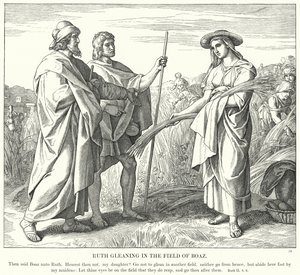 Ruth glanant dans le champ de Boaz (gravure) - Julius (after) Schnorr von Carolsfeld