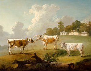 Trois bovins à longues cornes dans un paysage - Julius Caesar Ibbetson