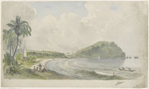 Paysage côtier tropical