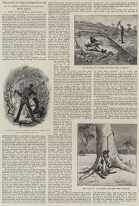 Le pays de la pépite d