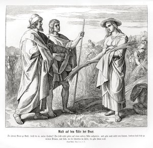 Ruth dans les champs de Boaz