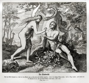 La Chute, Genèse - Julius Schnorr von Carolsfeld