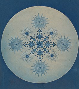 [Frustules de diatomées], vers 1870 - Julius Wiesner.