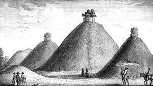 Les Collines de Bartlow, élevées sur les Morts, 1016