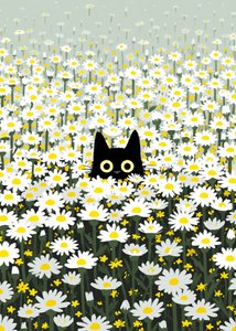 Prairie des marguerites « Black Cat » - Justyna Jaszke