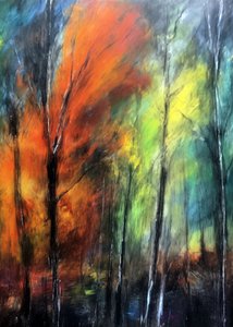 Une forêt automnale haute en couleurs